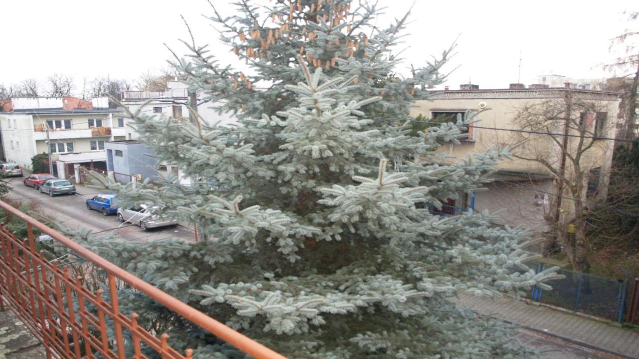 2C Mieszkanie Normalne Dwupokojowe Klimatyzacja Apartment